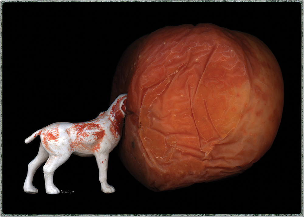 Angki Purbandono-Stay Hungry