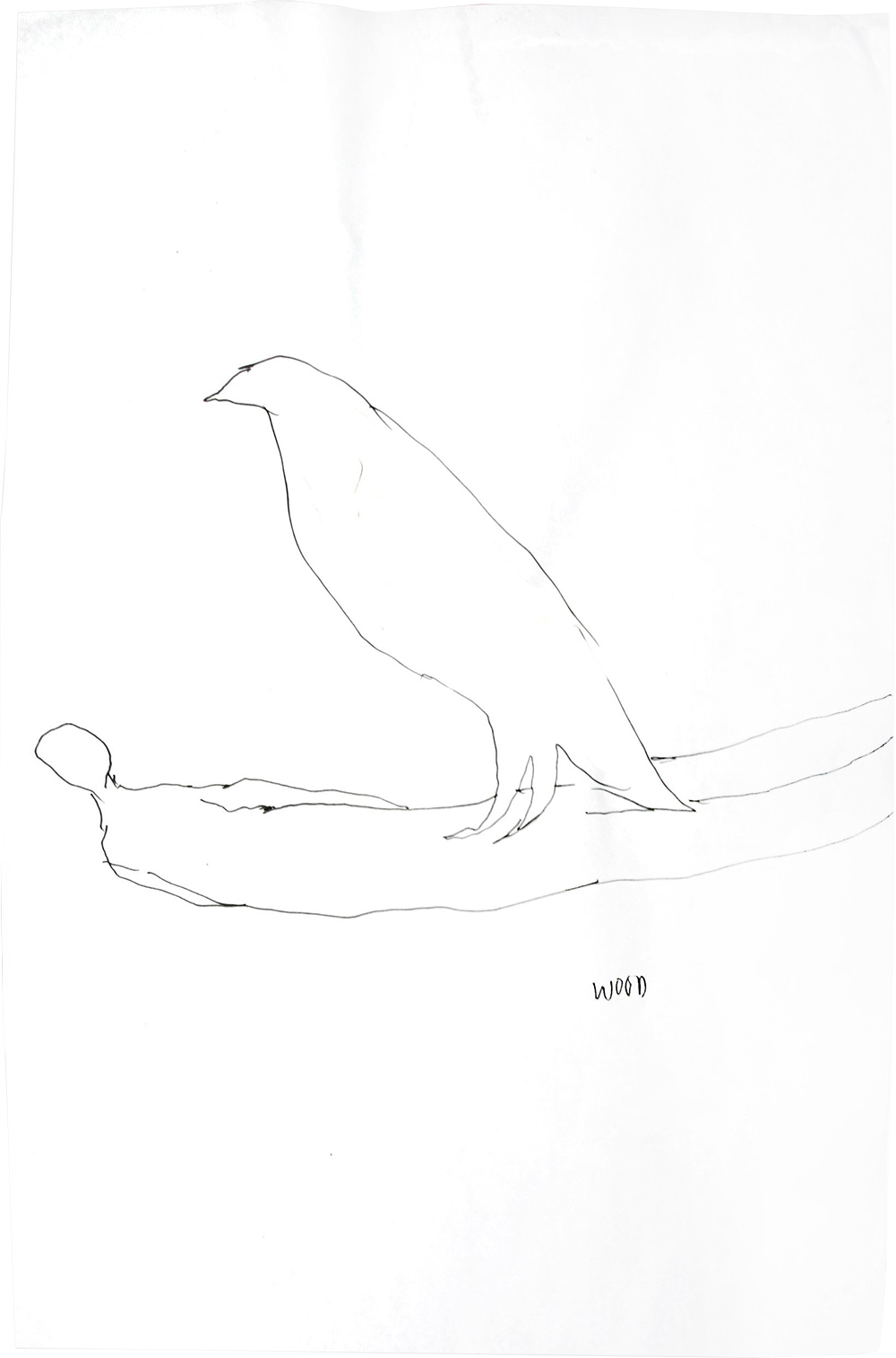 Ugo untoro & Filippo sciascia - Drawing