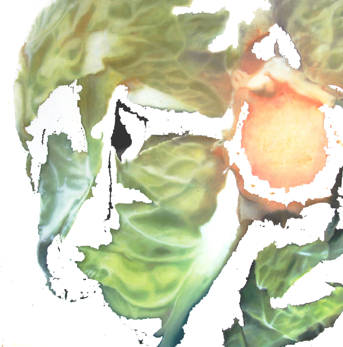 kokok sancoko-sayur-3